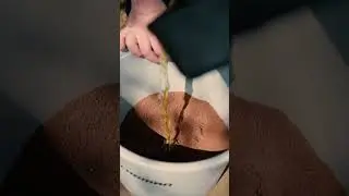 🐟 Відкрий секрети успішної риболовлі разом з прикормкою від Flagman!
