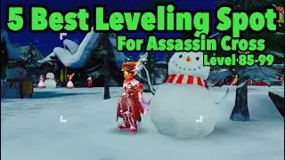 Ragnarok M Eternal Love - Assassin Cross Leveling Spot for Lv 85-99🔥