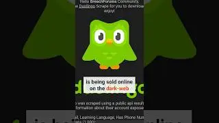 If you ever used Duolingo, WATCH THIS.