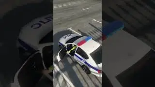 Типичные гаишники на RMRP 