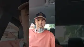 Собака в машине.
