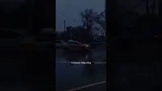 выспускаю ? #авторское