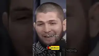 Хабибу Нурмагомедову подарили Волкодава...