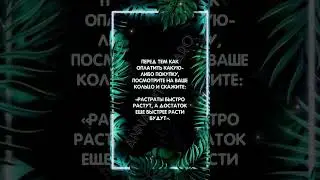Шепоток на возврат денег #аннаwitchтаро #заговоры #шепоток #денежныймагнит #магия