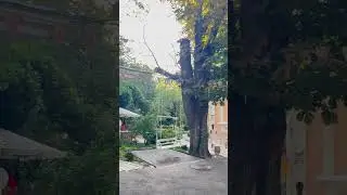 Ресторан Дача. Одеса 2024