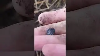 чешуя Ивана Грозного 
