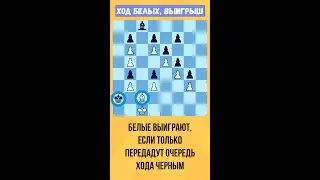 🎭 Искусство ПЕРЕДАЧИ очереди хода в ШАХМАТАХ #chess #chesspuzzle #shortsvideo