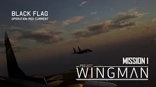 Project Wingman Hard Difficulty | Mission 1: Black Flag
