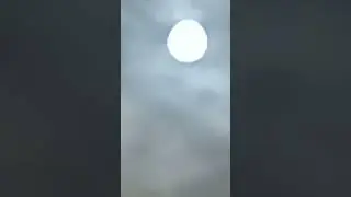 Moonnight