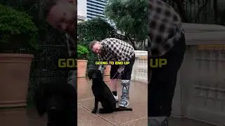 You Have To Do This With Your Dog