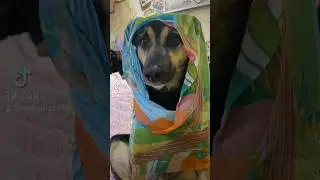 С Наступающим,Милые наши женщины🤗🌷Рановато? А пусть мы будем первыми😍 