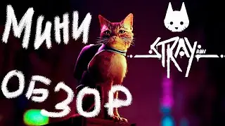 Всё, что известно о Stray. Обзор 2022