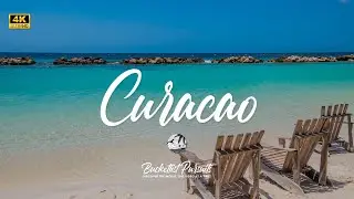 🇨🇼 Tropical Paradise: Discover the Colorful Beauty of Curaçao!