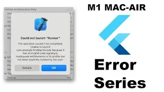 Could Not Launch RUNNER Error in Flutter