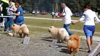 сравнение на ЛК