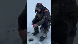 Чебак клюнул на мормышку . Рыбалка в дали от людей. #зимняярыбалка#мормышка#клев