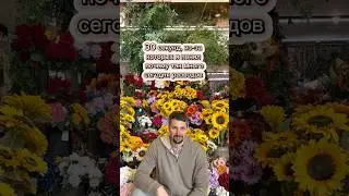 Правда жизни 