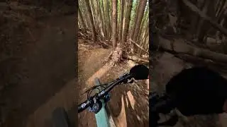 Trying to stay off the brakes! 💨