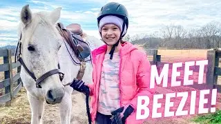 Goodbye Vinnie, Hello Beezie !!!