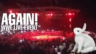 WWE TEASE WHITE RABBIT AGAIN AT WWE LIVE EVENT!
