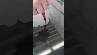 Лезет лак с капота, что же делать🧐