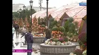 Собянин рассказал, на что идут деньги от фестивалей и ярмарок - Россия Сегодня