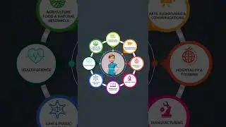 Infographic Animation 
