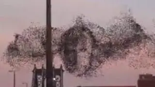 Над Нью-Йорком появилось лицо Путина!