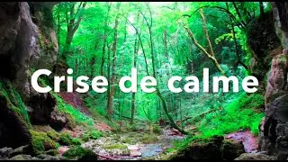 Crise de calme