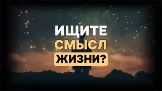 Всё ещё ищите смысл жизни?