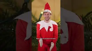 Bad Elf on the Shelf 