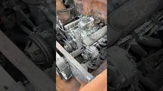 Seized engine in my half-baked 1956 Chevy!!! 