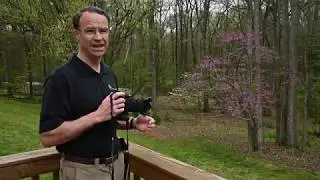 Today's Photo Minute Video #2 - Motion blur with trees