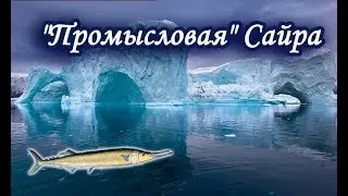 Атлантическая Сайра. Квест 