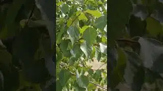 Доброе утро друзья! 🤗