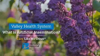 What is Artificial Insemination?