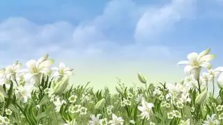 Footage HD video,HD Video Background Animation Video Backgrounds Motion, Backgrounds For Video40