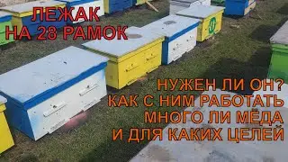 ЛЕЖАК НА 28 РАМОК ДЛЯ ЧЕГО ОН НА ПАСЕКЕ ДЛЯ КАКИХ ЦЕЛЕЙ как с ним работать УСТУПАЕТ ЛИ ПО МЁДУ ✅🐝🐝