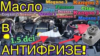1.5 dci МАСЛО В АНТИФРИЗЕ! Кенго 2. Кенго 3. Ситан. Меган 3. Сценик 3. 1.5 dci OIL IN ANTIFREEZE...