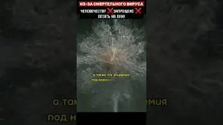 На луне нашли вирус, который может погубить человечество 