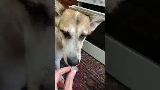 У каждого из нас,свой путь,и у каждого - он непростой…
