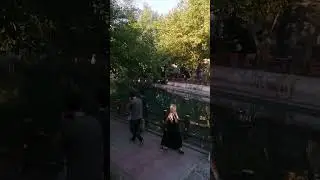 barzan kakamen