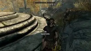 Skyrim: Imperial soldiers vs Bandits