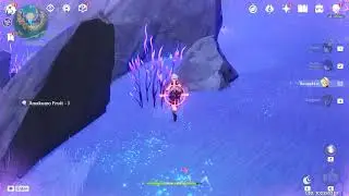 Amakumo Fruits location - Genshin impact