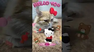 Іриска Hello Kitty 