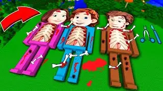 Я СДЕЛАЛ ОПЕРАЦИЮ ВСЕ СЕМЬИ В МАЙНКРАФТЕ