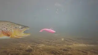 This JAPANESE LURE TRICK is killing brown trout! Mid-strolling in detail