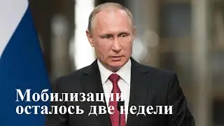 Владимир Путин о мобилизации и уехавших из России