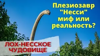 Плезиозавр 