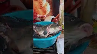 Рыбка речная!#shorts